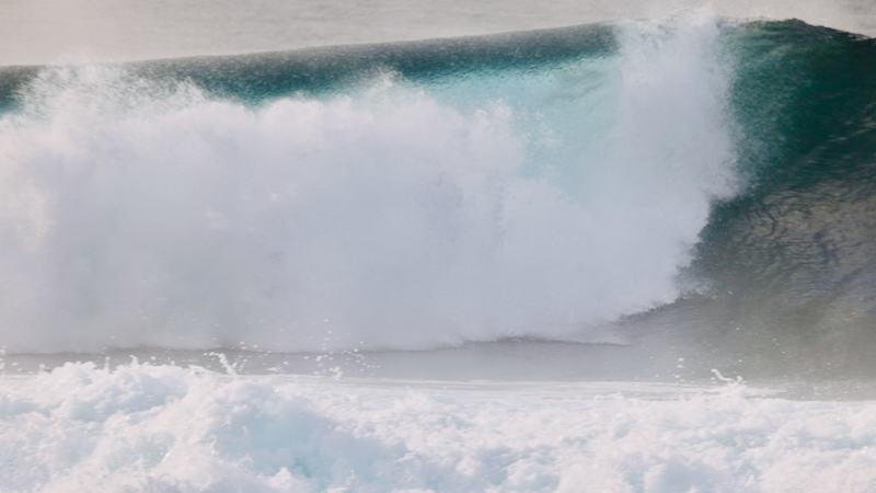 スクリーンショット 2025-05-15 5.42.06