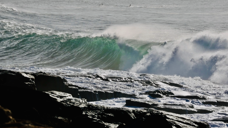 スクリーンショット 2025-05-30 4.03.42
