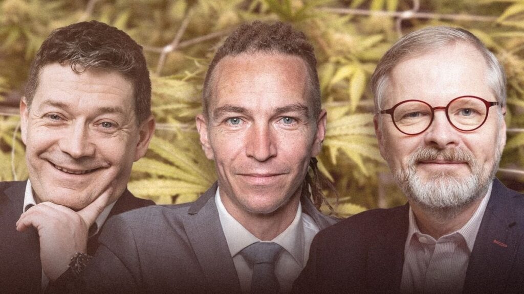 家の大麻栽培、ついに？