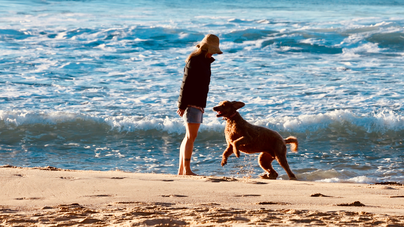 スクリーンショット 2025-05-11 4.31.14