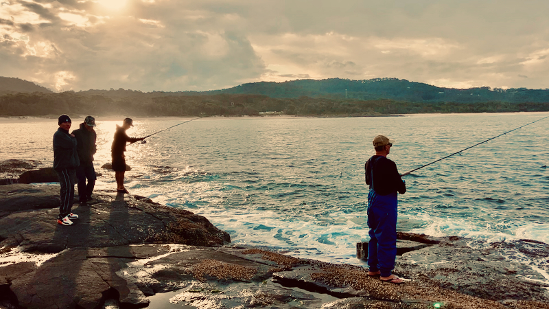 スクリーンショット 2025-05-14 4.05.46