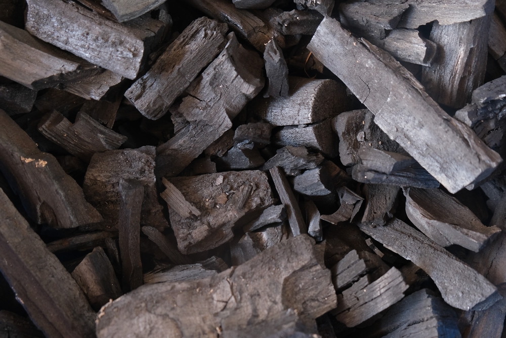 【カナダ】スエズ等3社、カナダ初のバイオ炭量産プラントが稼働開始。年産3万トン級 | Sustainable Japan