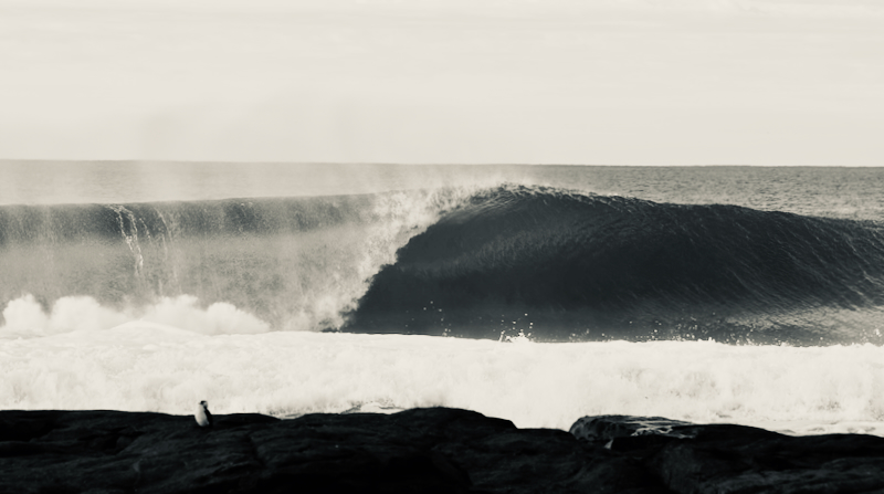 スクリーンショット 2025-05-28 3.31.35