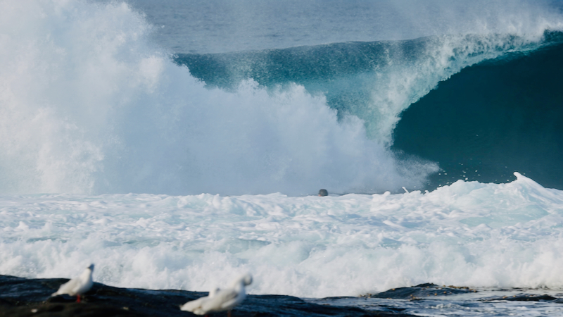 スクリーンショット 2025-05-14 3.41.16