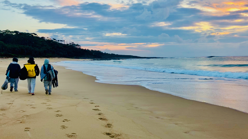 スクリーンショット 2025-05-15 15.17.25