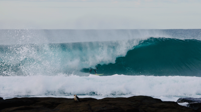 スクリーンショット 2025-05-28 3.26.50