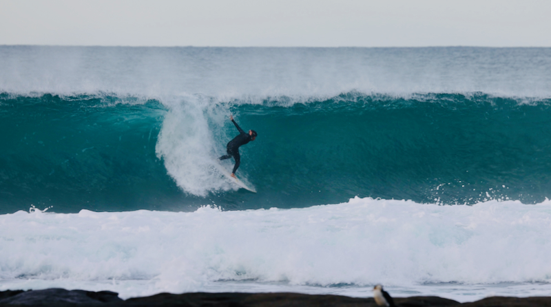 スクリーンショット 2025-05-28 3.28.10