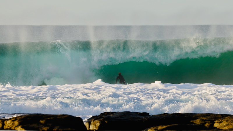 スクリーンショット 2025-05-27 15.31.49