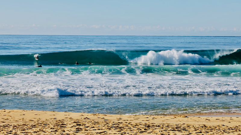スクリーンショット 2025-05-11 4.49.00