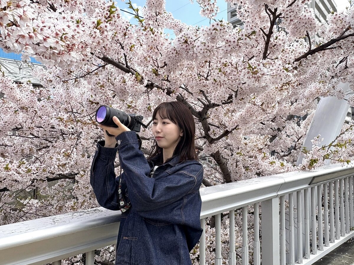 札幌桜⑥.jpg