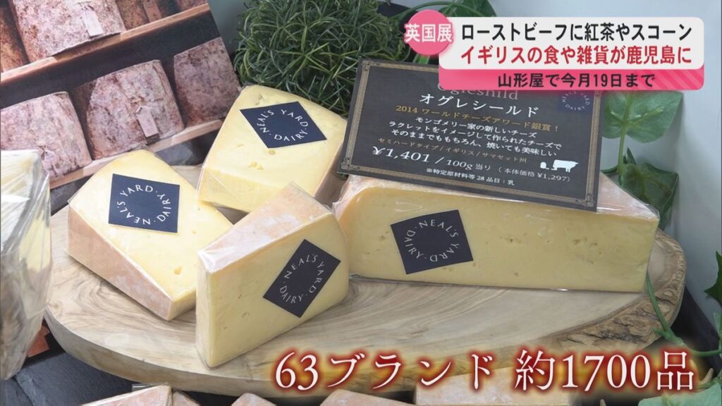 鹿児島読売テレビ