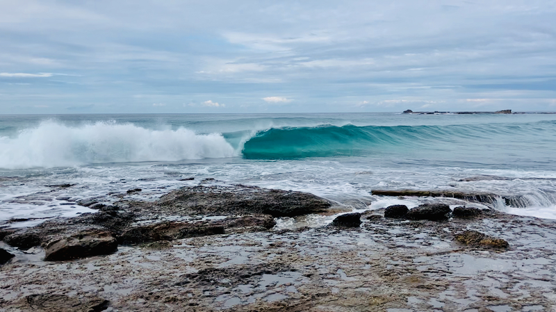 スクリーンショット 2025-05-17 5.40.47
