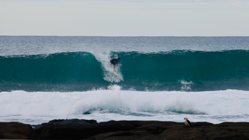 スクリーンショット 2025-05-28 3.26.06