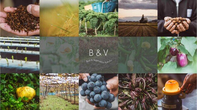 山形県河北町にホテル「Bed & Vegetable Kahoku」がオープン（2025年5月12日）｜BIGLOBEニュース