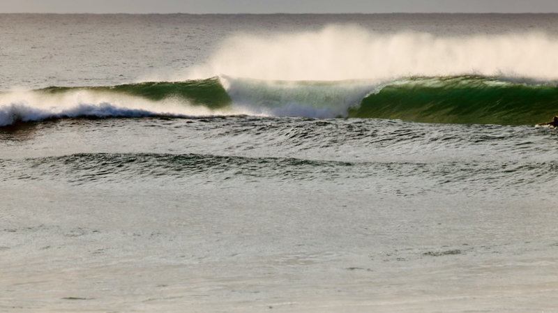 スクリーンショット 2025-05-18 3.36.03