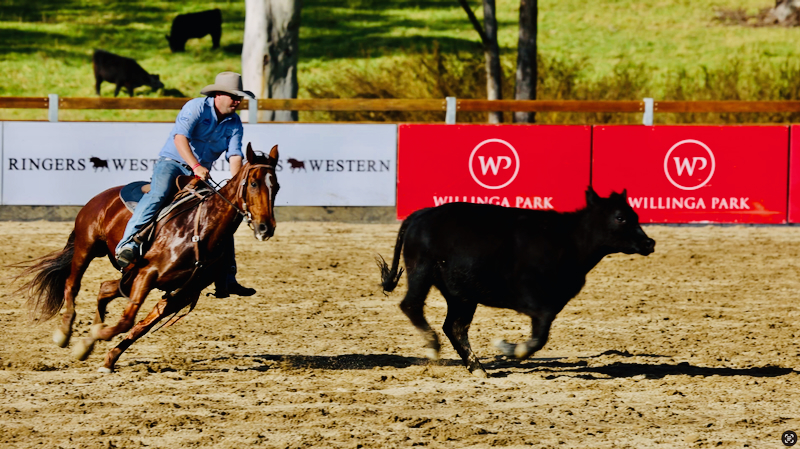 スクリーンショット 2025-05-15 5.55.30
