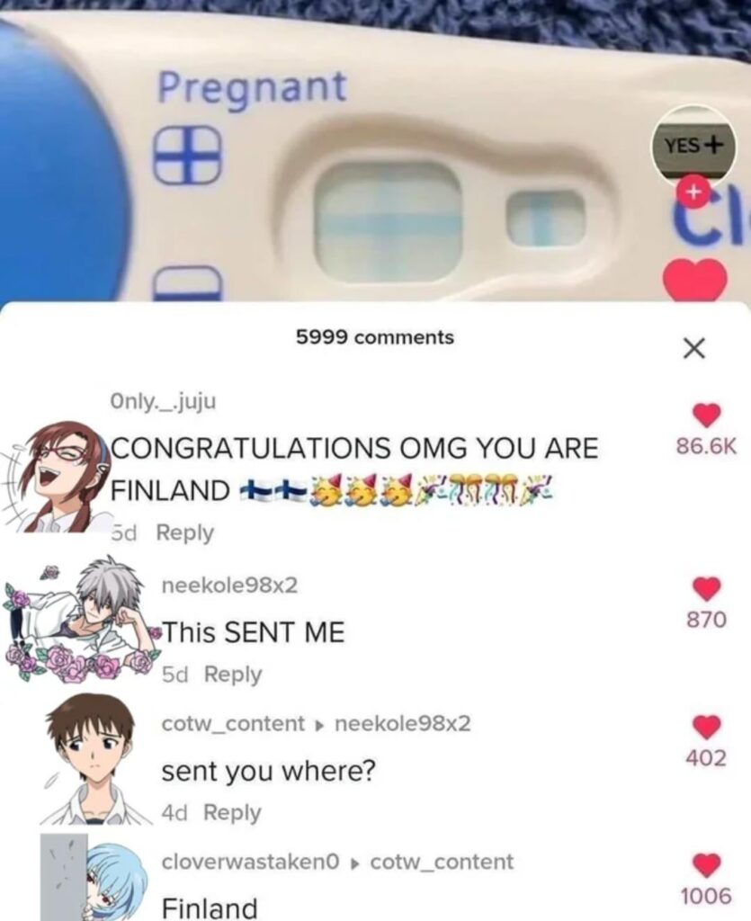 r/evangelionmemesから