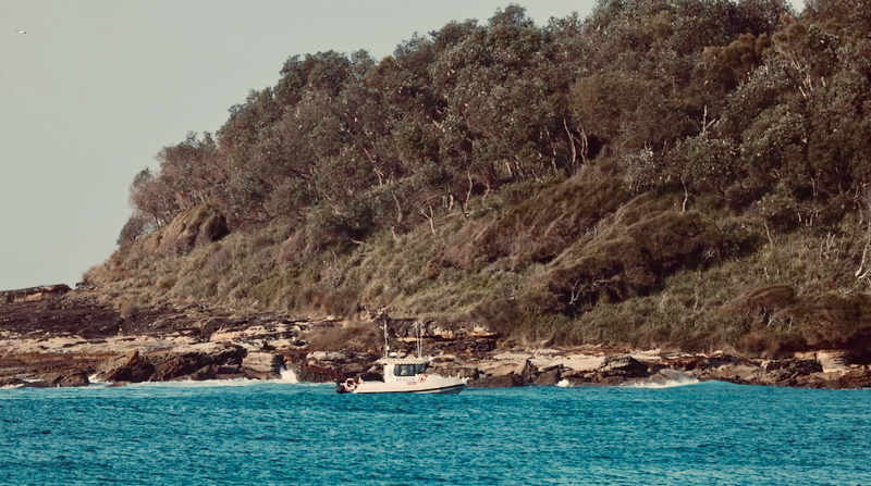 スクリーンショット 2025-05-18 3.57.57