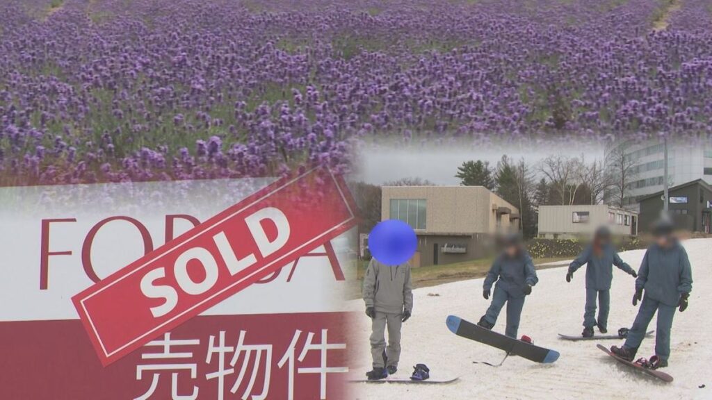投資家から熱視線 “第2のニセコ” 富良野市の光と影 無許可営業横行も…海外客増加で変わるマチ 北海道(2025年5月4日掲載)|STV NEWS NNN 共有