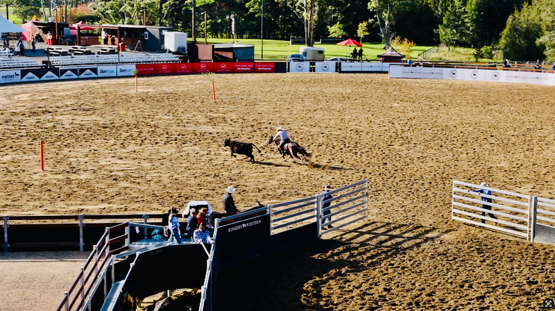 スクリーンショット 2025-05-15 5.59.01