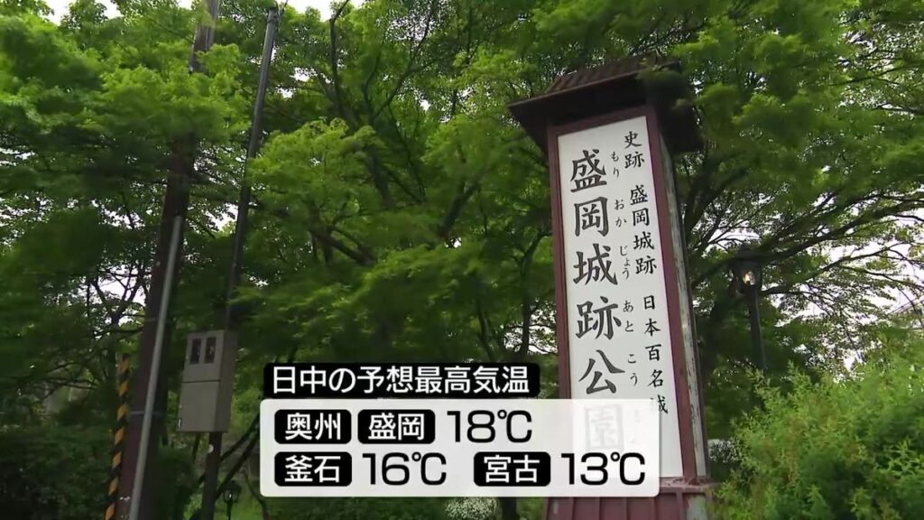 共有