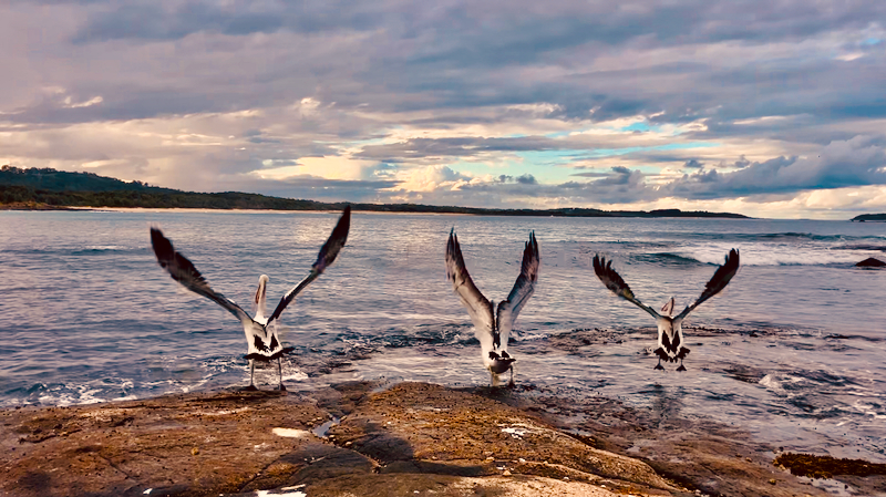 スクリーンショット 2025-05-14 4.05.02
