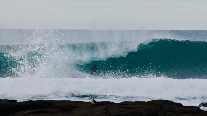 スクリーンショット 2025-05-28 3.26.35