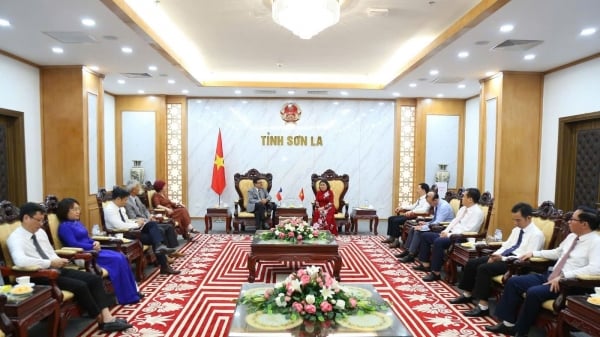 Vietnam.vn - Nền tảng quảng bá Việt Nam