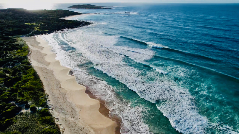 スクリーンショット 2025-05-10 4.04.53