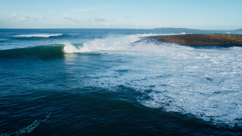 スクリーンショット 2025-05-30 5.51.07
