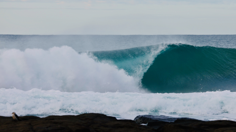 スクリーンショット 2025-05-28 3.27.03