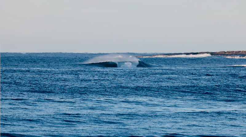 スクリーンショット 2025-05-10 3.54.59