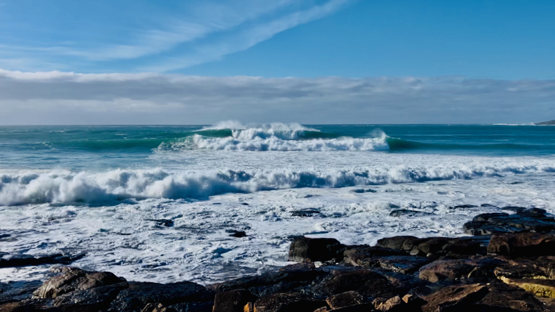 スクリーンショット 2025-05-30 4.06.00
