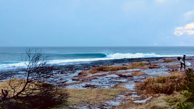 スクリーンショット 2025-05-22 4.44.23