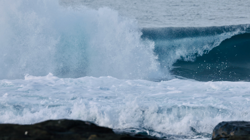 スクリーンショット 2025-05-14 3.50.43