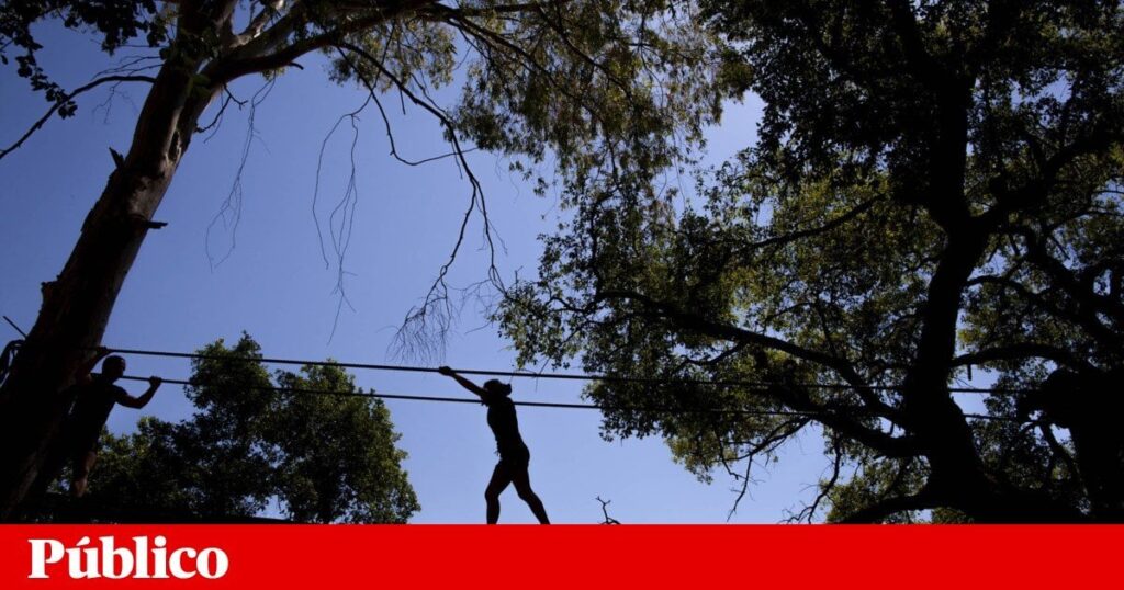 軍事運動は海兵隊に生命を破壊しました。国家は非難されたが、頼った