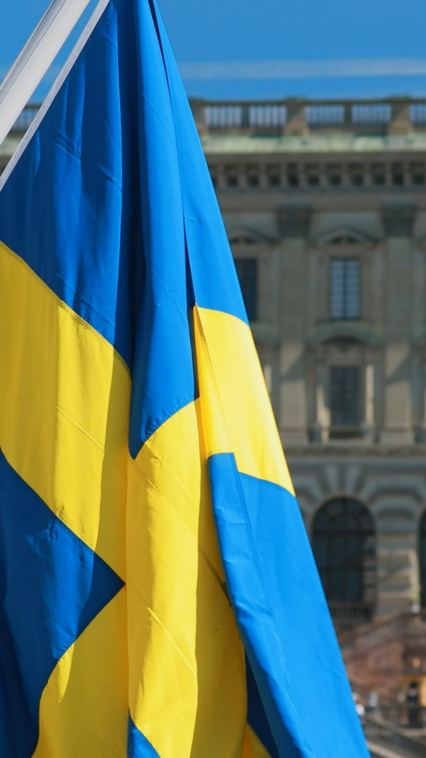 勝利は苦労しており、友達がいるのは良いことです。スウェーデンはこれを理解し、ウクライナをサポートしています。ウクライナの防衛への投資は、スウェーデンにとって有益です。そうでなければ、ロシアはヨーロッパに戦争をもたらします。