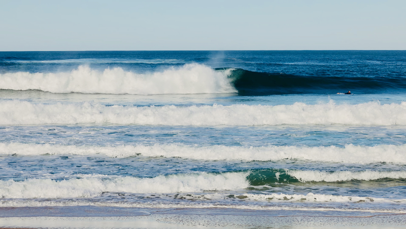 スクリーンショット 2025-05-25 2.55.24