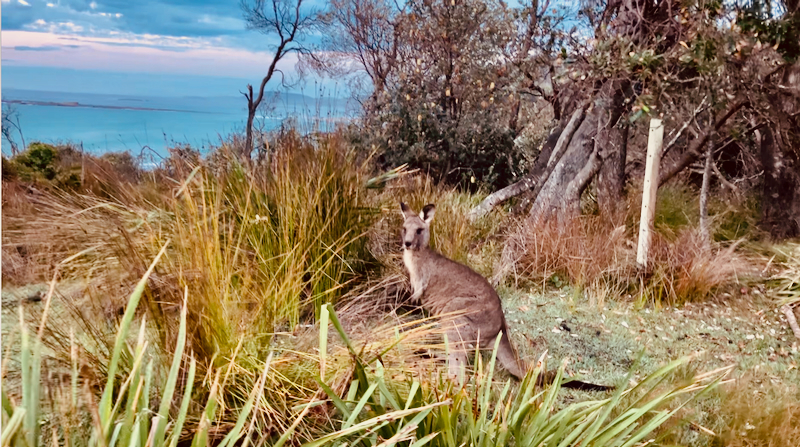 スクリーンショット 2025-05-14 15.49.59