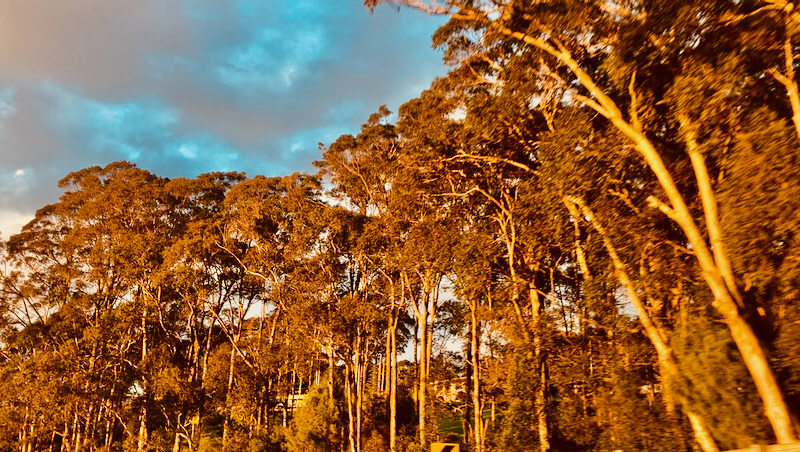 スクリーンショット 2025-05-13 4.26.53