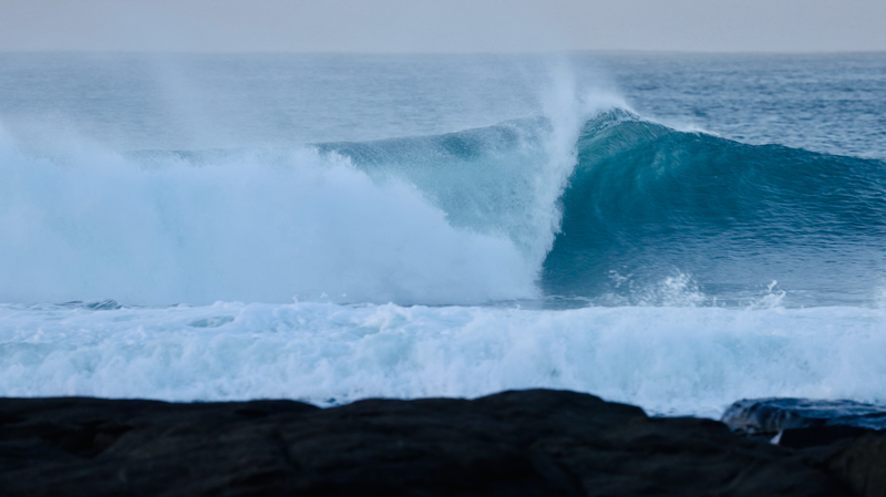 スクリーンショット 2025-05-28 6.28.04