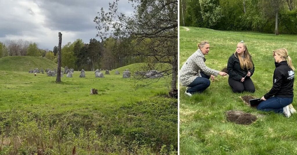 文化遺産、アヌンシェグが略奪された - ヴェステルスの古代の遺跡で掘られた50以上のピット