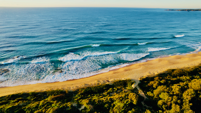 スクリーンショット 2025-05-11 4.20.12
