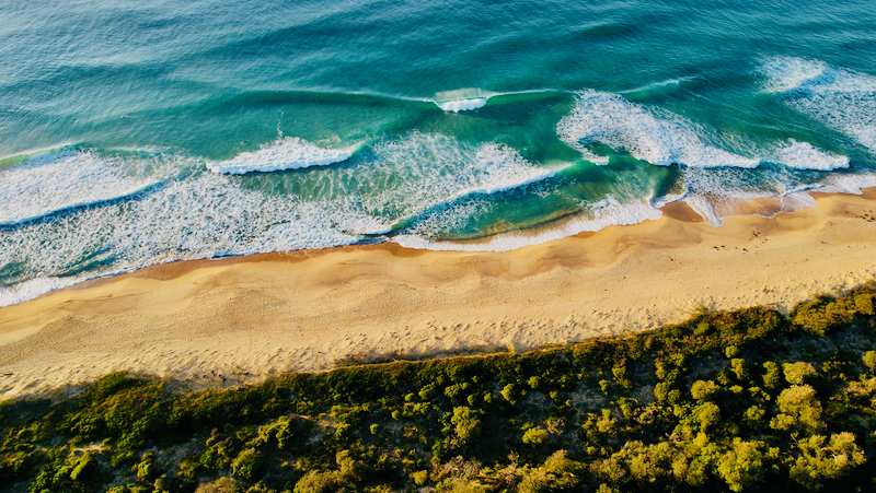 スクリーンショット 2025-05-11 4.23.02