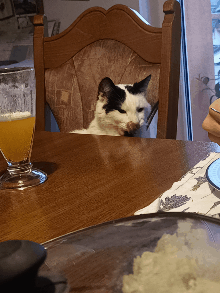 マチコボタ