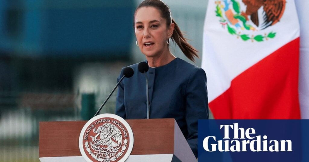メキシコの大統領は、米軍の介入に対する恐怖を和らげようとします