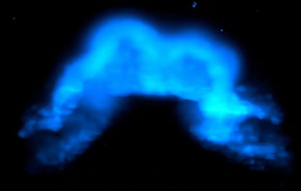 科学者たちは心臓の初期形成の様子を動画で捉え、胚細胞が心臓組織へと変わり始める瞬間を明らかにしました。