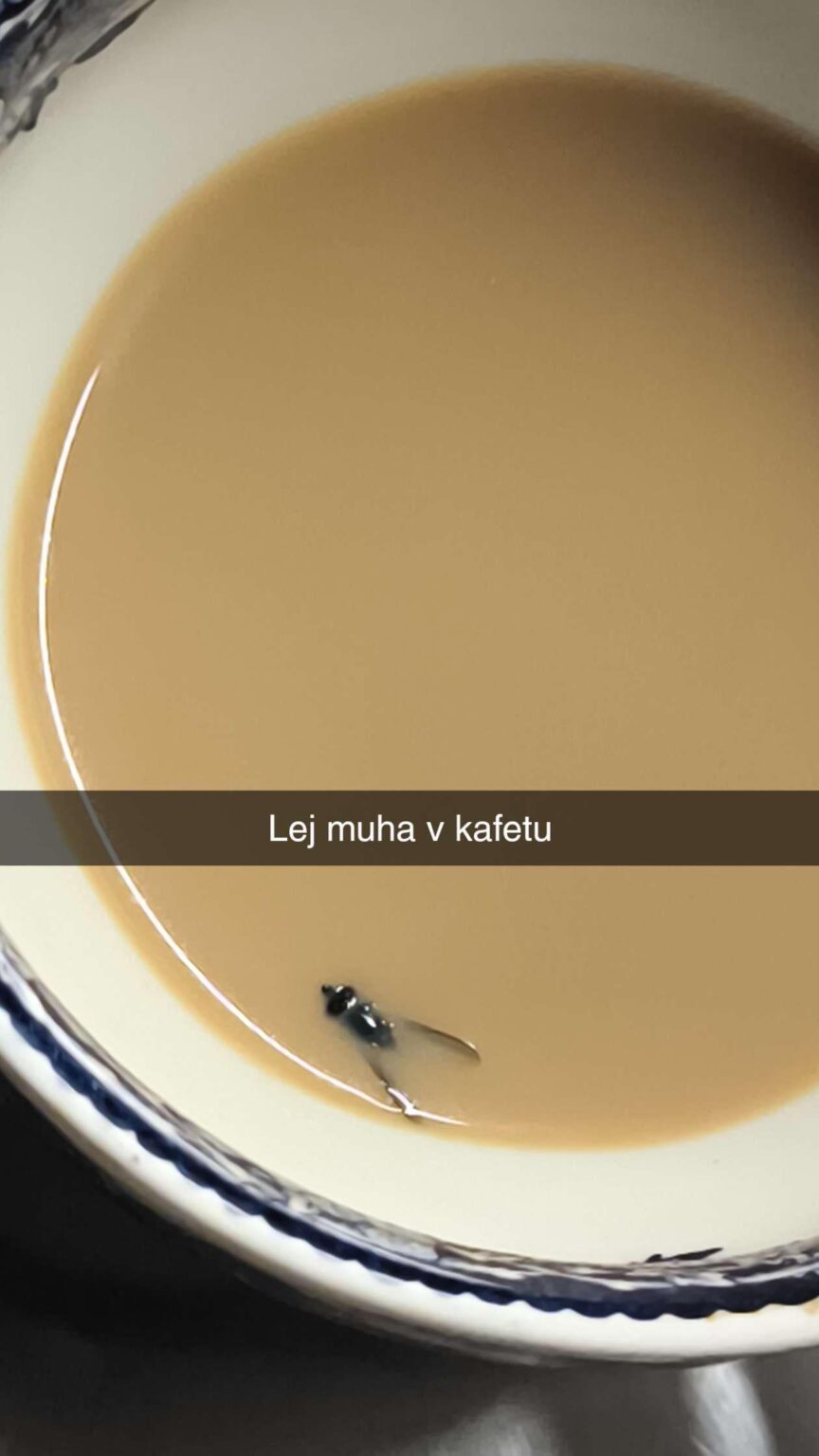 カフェテリアのLej Muha