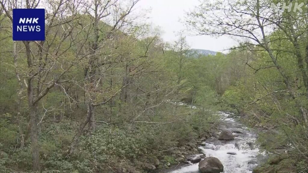 長野 山菜採りで群馬の男性2人不明 遺体で発見か