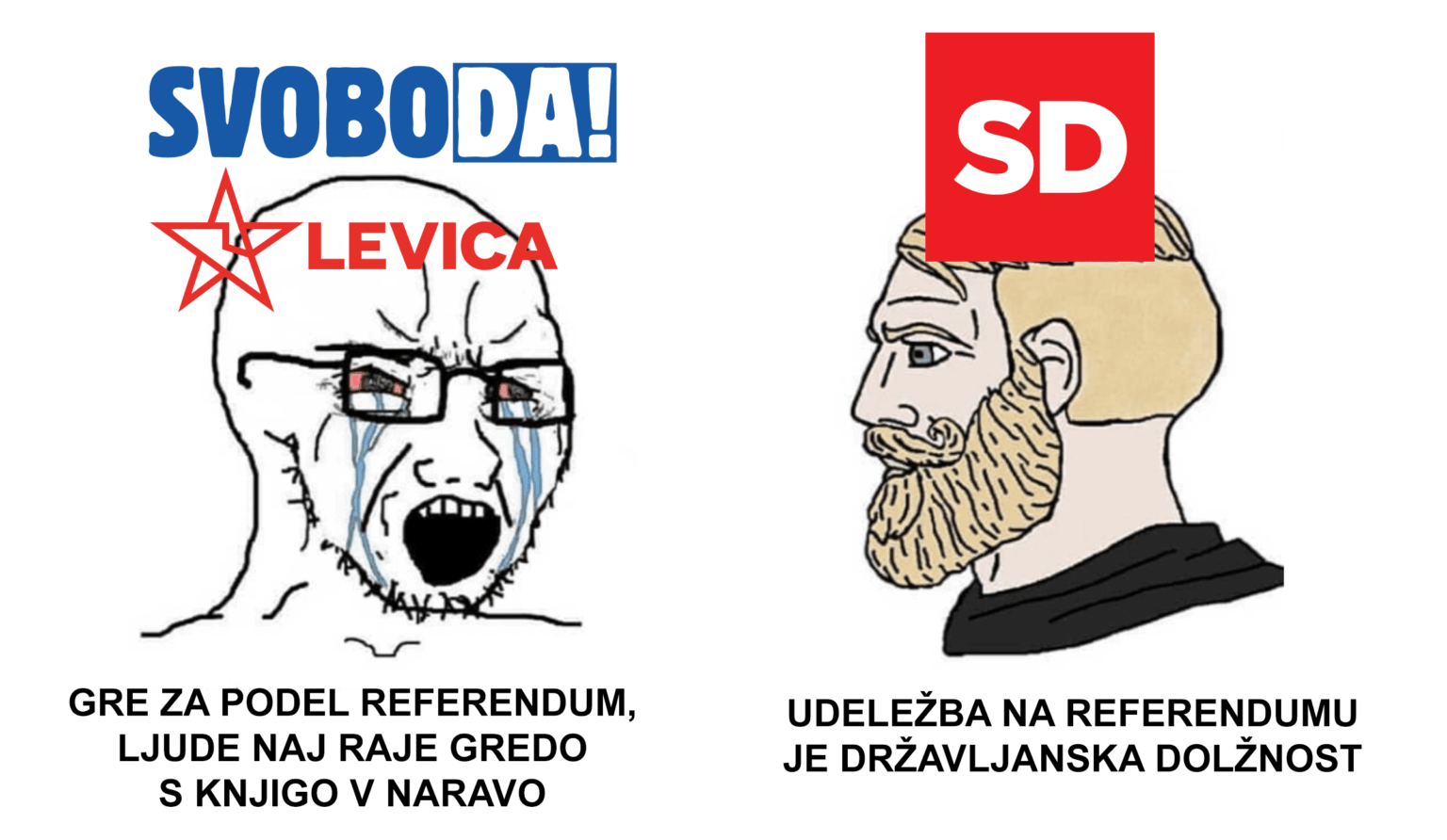 Na国民投票？